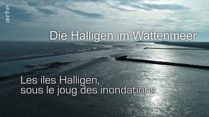 Die Halligen im Wattenmeer