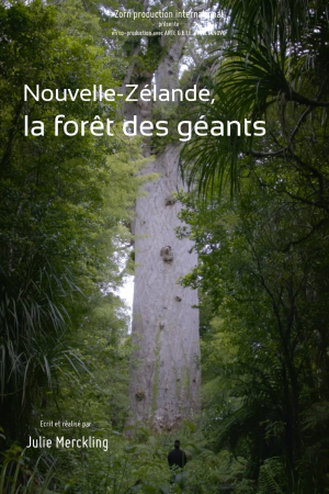 Nouvelle-Zélande - La forêt des géants