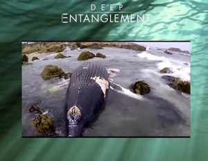 Deep Entanglement
