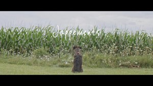 Jappements
