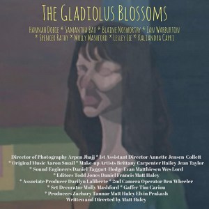 The Gladiolus Blossoms