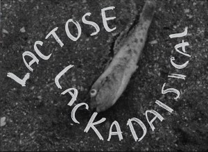 Lactose Lackadaisical