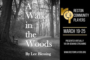 A Walk in the Woods