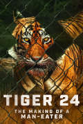 Película Tiger 24