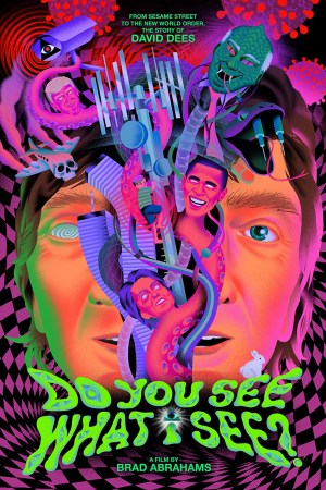 Do you see what I see?