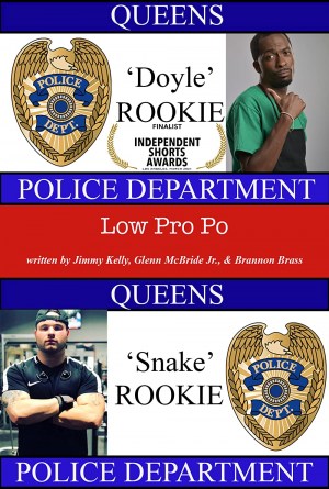 Low Pro Po