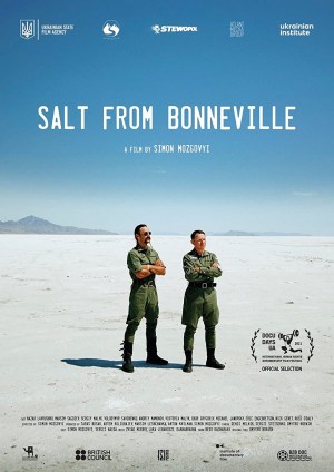 Salt from Bonneville