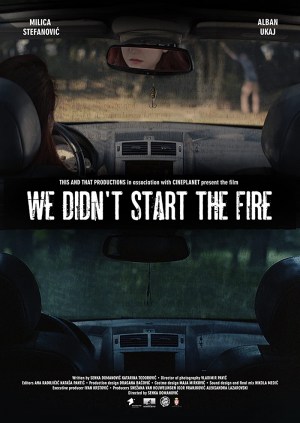We Didn't Start the Fire