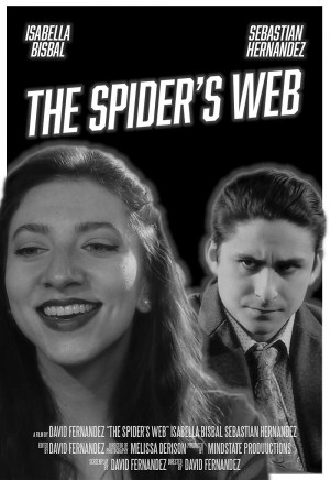 The Spider's Web
