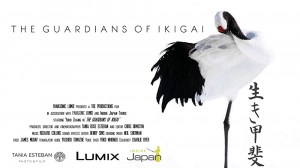 The Guardians of Ikigai