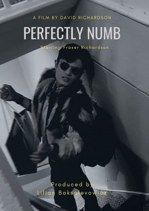 Perfectly Numb