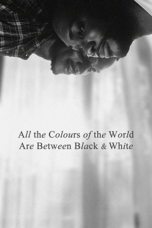 All the Colours of the World are Between Black and White