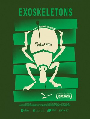 Exoesqueletos