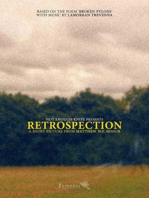 Retrospection