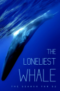 Película The Loneliest Whale: The Search for 52