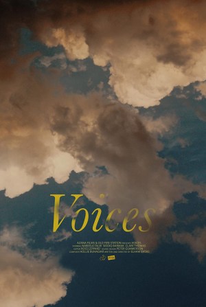 Voices