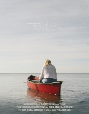 Terminal