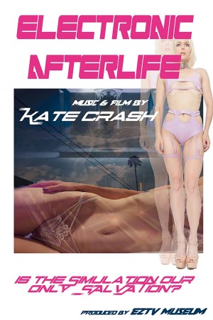 Electronic Afterlife