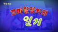 Kkomachwal-yeong-gaui ilgi