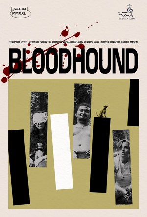 Bloodhound