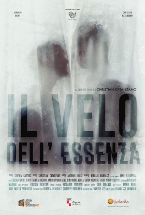 Il velo dell' essenza