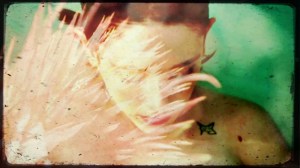 In Dreaming, Danielle