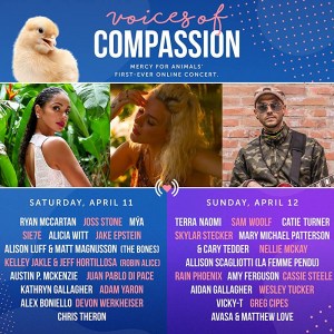 Voices of Compassion
