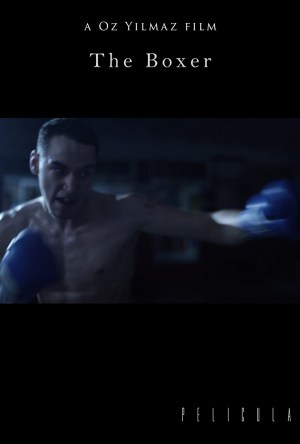 The Boxer