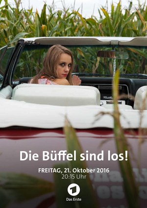 Die Büffel sind los! Die Büffel sind los!
