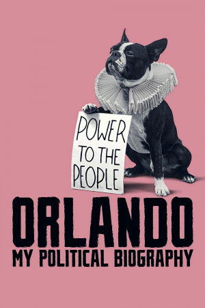 Orlando, mi biografía política