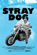 Stray Dog