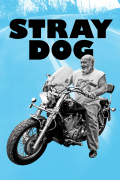 Película Stray Dog