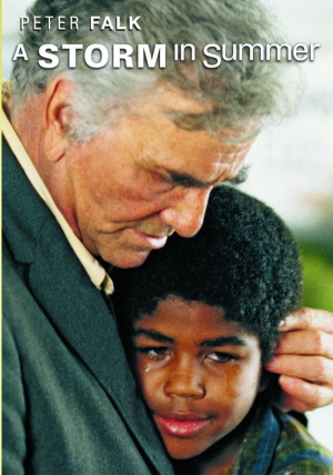 Una tormenta de verano