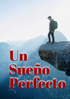Un Sueño Perfecto