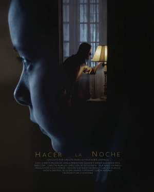 Hacer la noche