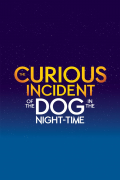 Película The Curious Incident of the Dog in the Night-Time