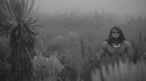 La Sombra en la Niebla