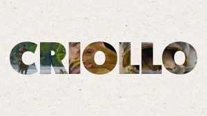 Criollo Serie - Vice