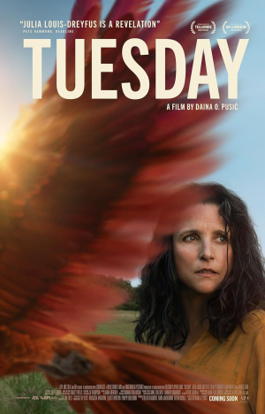 Tuesday Tuesday