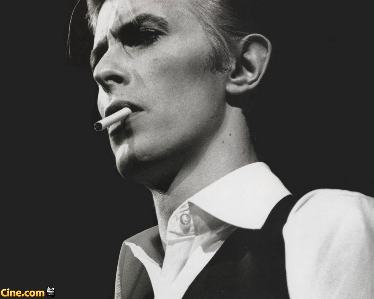 Fondo de pantalla de David Bowie Fondo de pantalla de David Bowie